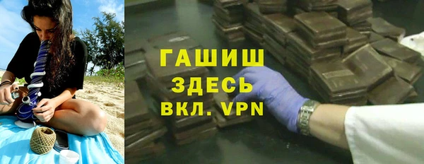 шишки Новодвинск