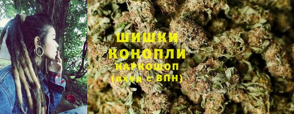 шишки Новодвинск