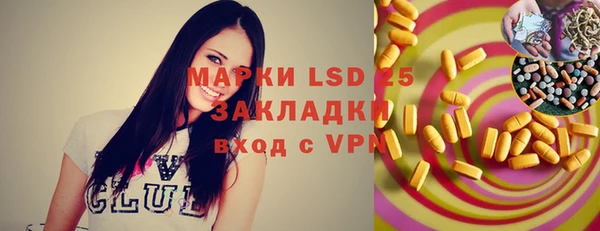 шишки Новодвинск