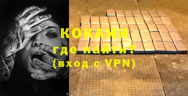 шишки Новодвинск