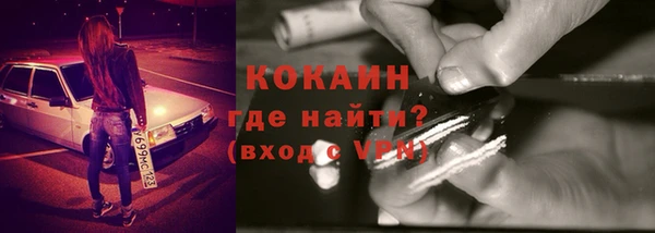шишки Новодвинск