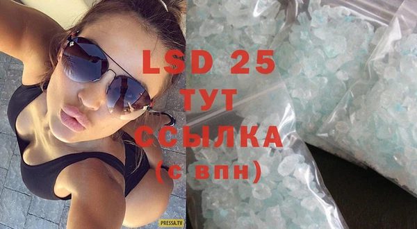 шишки Новодвинск