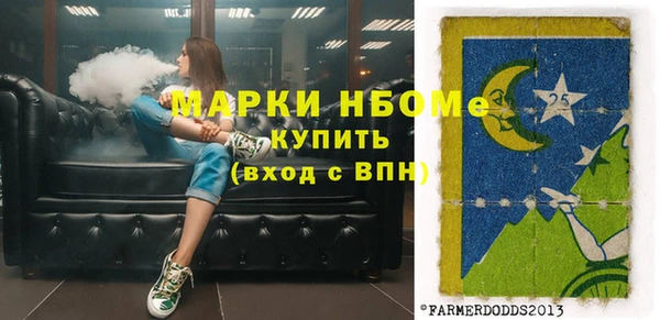 шишки Новодвинск
