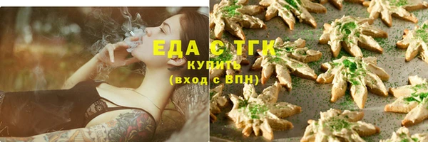 шишки Новодвинск