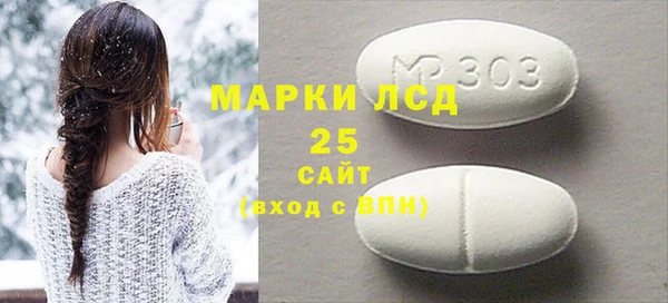 шишки Новодвинск