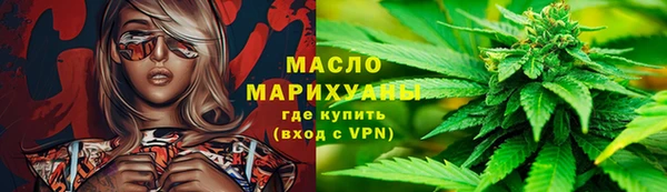 шишки Новодвинск