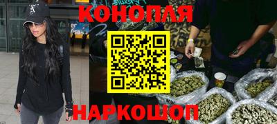 СК Новокубанск