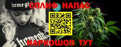 СК Новокубанск