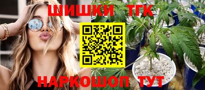 гидра Новодвинск