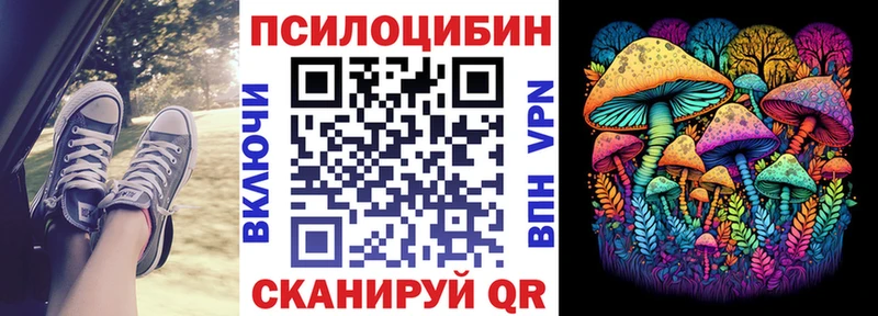 купить   Рубцовск  Псилоцибиновые грибы мицелий 
