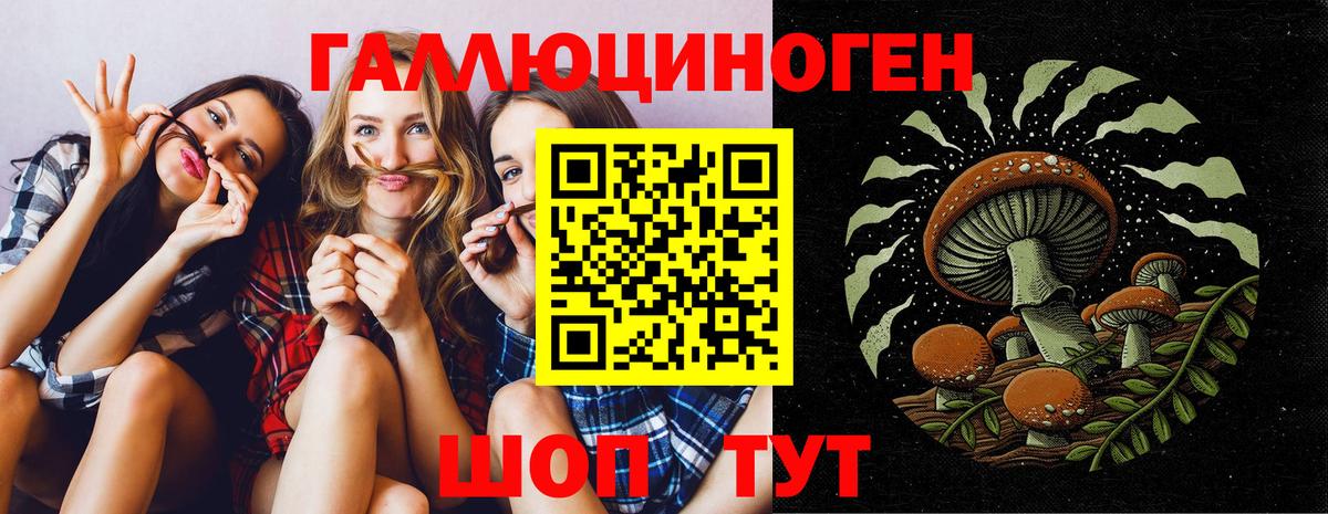 Рубцовск  Псилоцибиновые грибы Psilocybine cubensis  Галлюциногенные грибы Psilocybine cubensis  как найти закладки  Вход с VPN 
